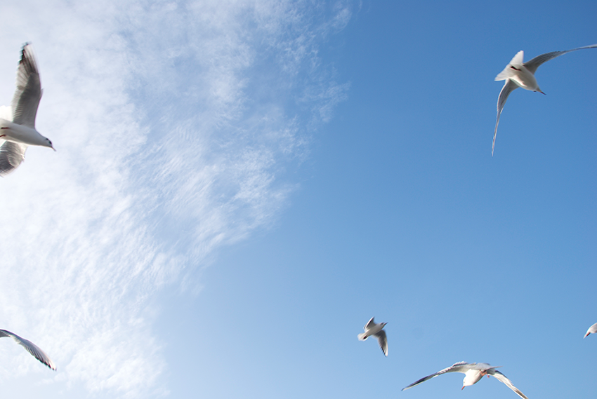 The picture is showing the artwork Your prospects will be heightened by the artist Sandra Miriam Ehlen